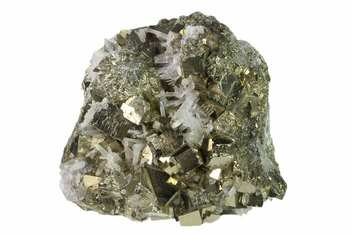 Cubic Pyrite & Quartz Crystal Association - Peru #136195